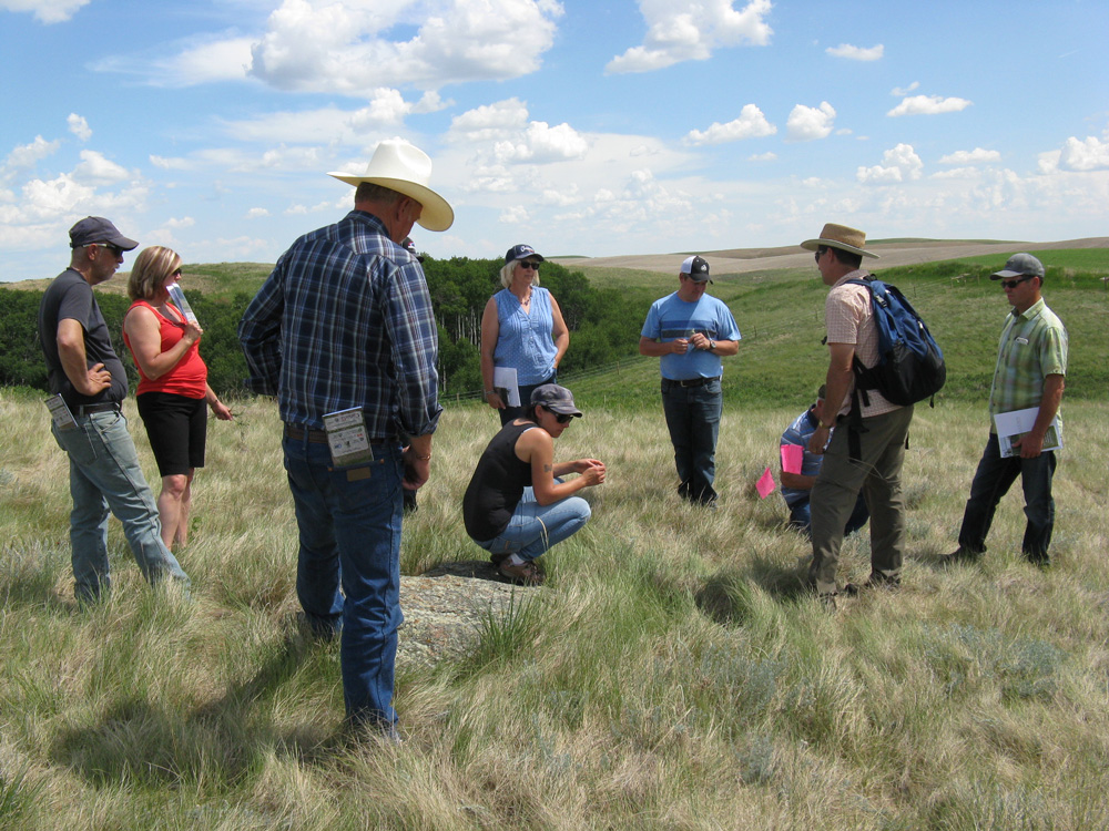 The attendees of AGM travelled to a native prairie site.