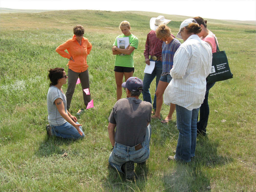 Sarah Sommerfeld (left) from the Outlook Sask. Agriculture office identifying native grasses.