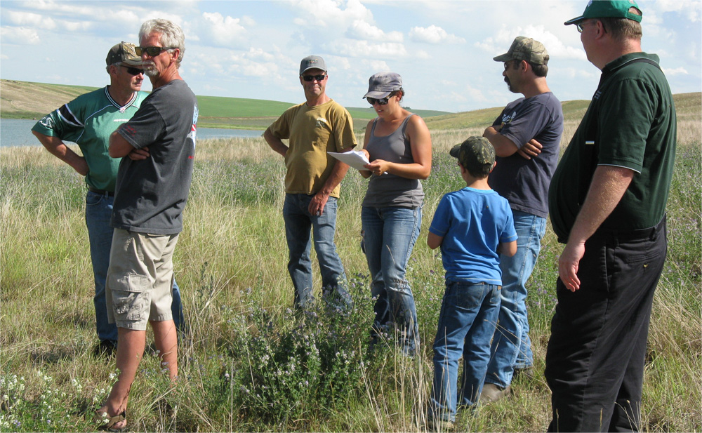 Our group discussed the merits of the applications.