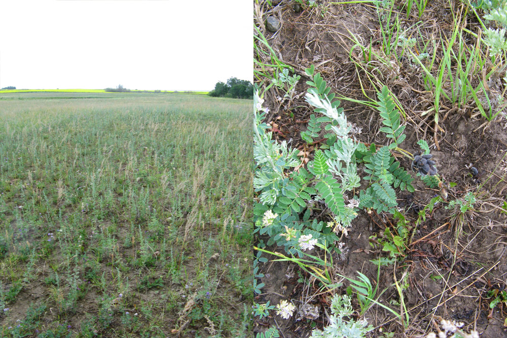 We looked at a pasture watering system.