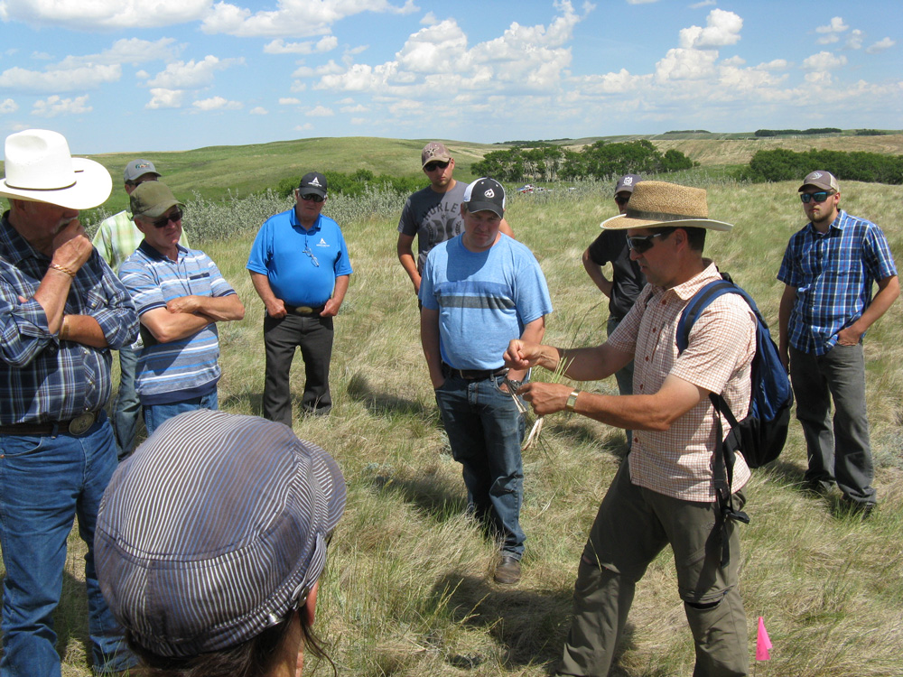John Hauer showing us how to identify native grasses.
