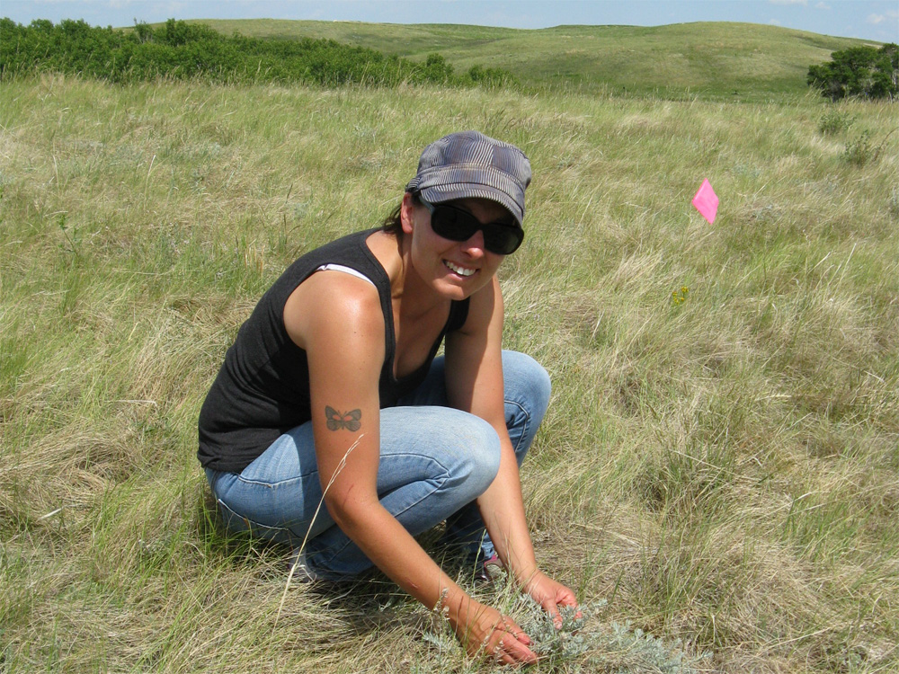 Sarah Sommerfeld showing the group winterfat.
