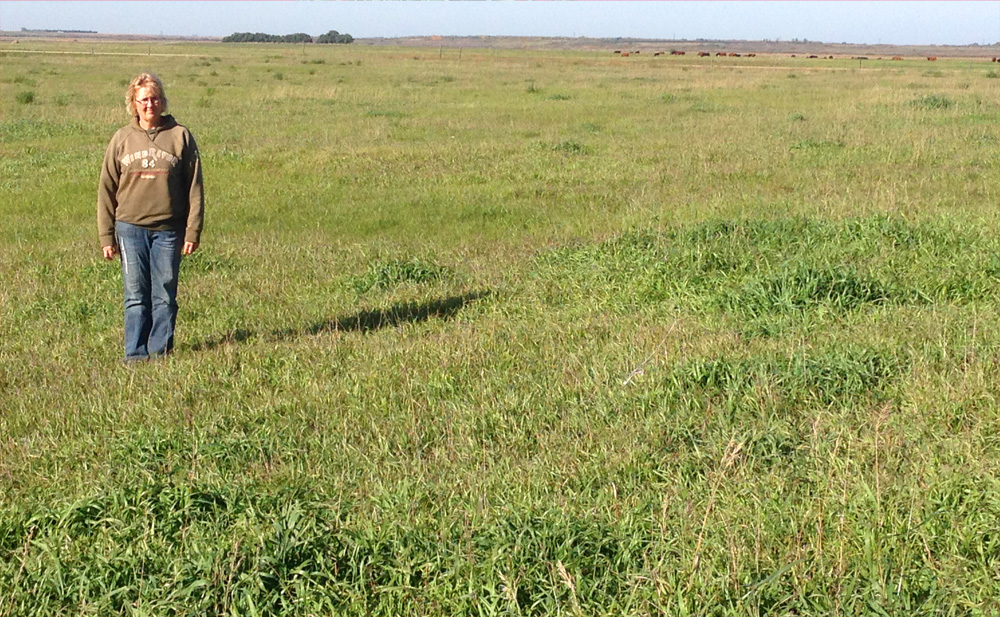 Val Petrie is standing in an area where no bales were placed.